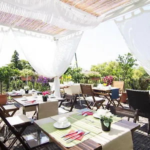 3* Bed & Breakfast 7